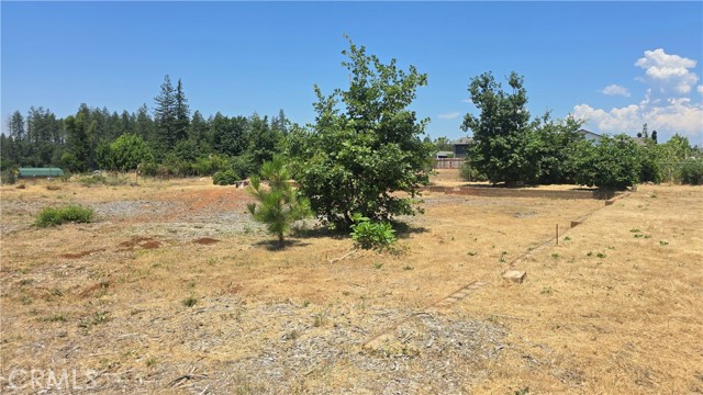 MLS #SN25131796 image #10