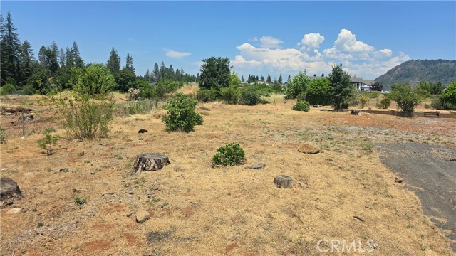 MLS #SN25131796 image #3