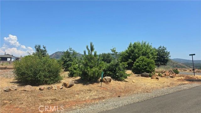 MLS #SN25131796 image #6