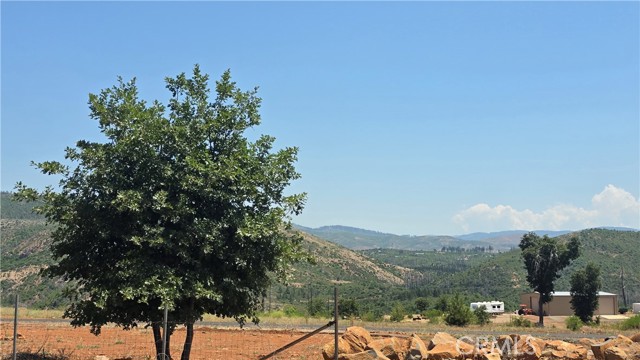 MLS #SN25131796 image #8