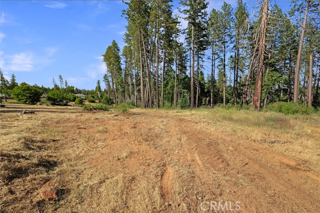 MLS #SN25132508 image #11