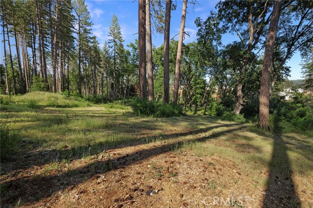 MLS #SN25132508 image #12