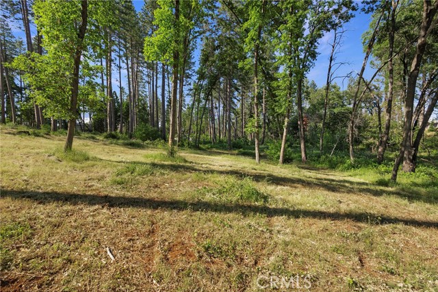 MLS #SN25132508 image #13