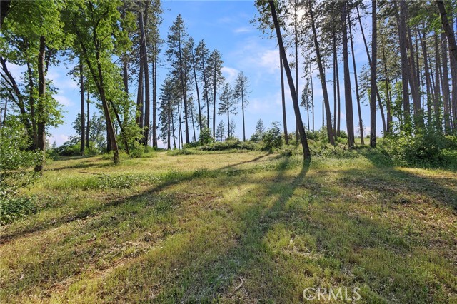 MLS #SN25132508 image #5