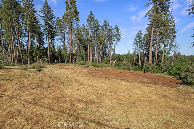 MLS #SN25132508 image #7