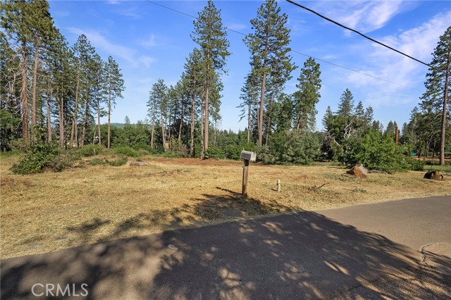 MLS #SN25132508 image #8