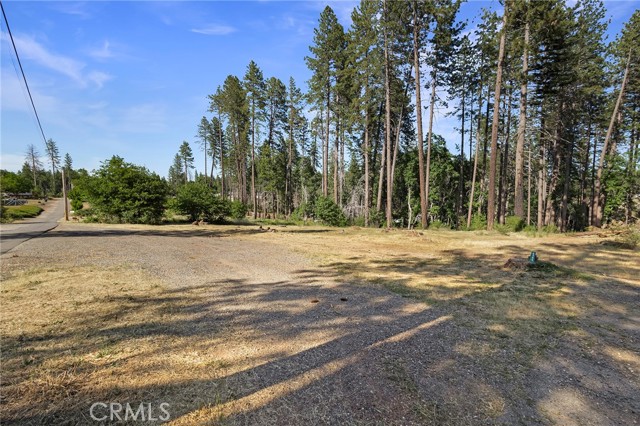 MLS #SN25132508 image #9