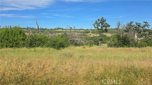 MLS #SN25132753 image #13