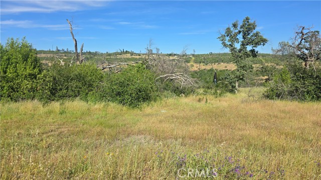 MLS #SN25132753 image #14