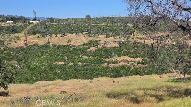 MLS #SN25132753 image #16