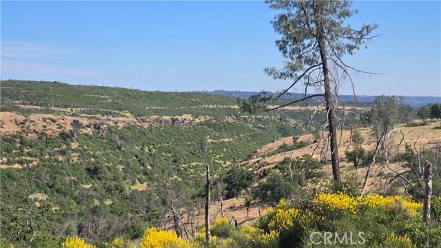 MLS #SN25132753 image #6