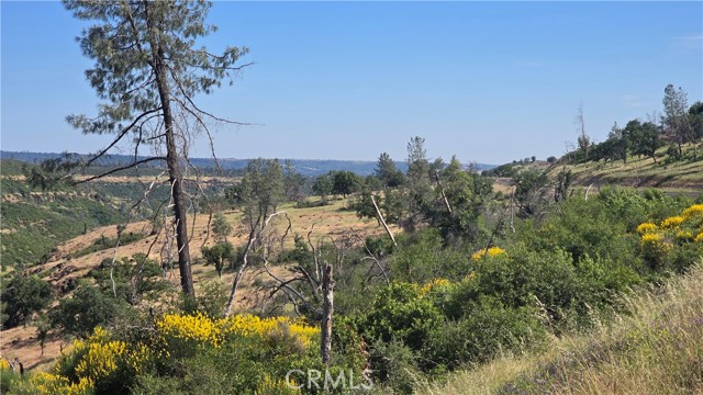 MLS #SN25132753 image #7