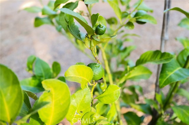 MLS #PA25204412 image #37