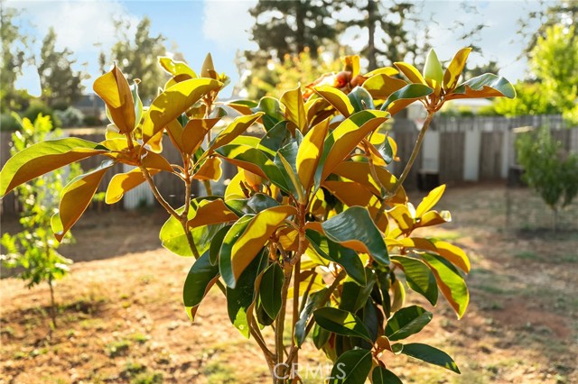 MLS #PA25204412 image #38