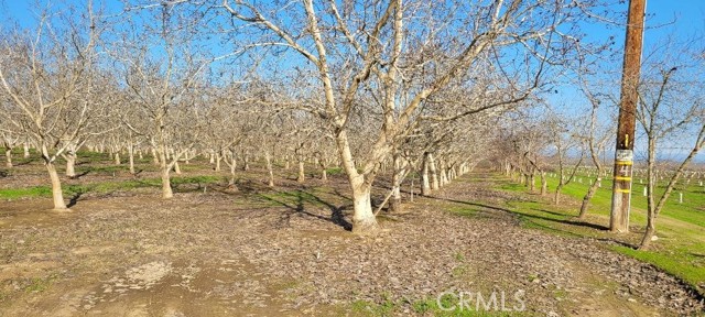 MLS #SN25133071 image #1