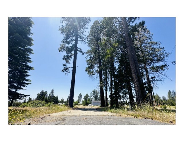 MLS #SN25133194 image #1