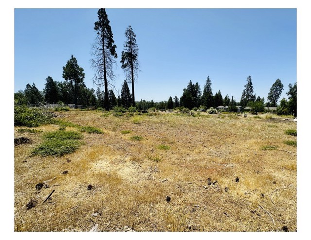 MLS #SN25133194 image #2