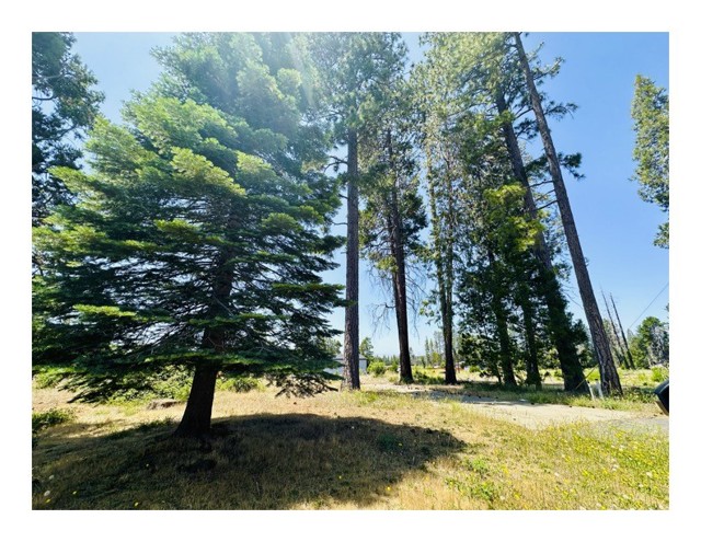 MLS #SN25133194 image #3