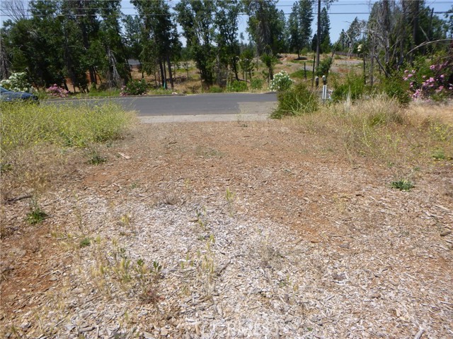 MLS #SN25133775 image #11