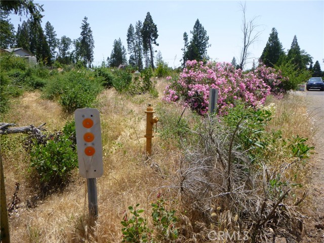 MLS #SN25133775 image #5