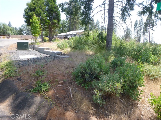 MLS #SN25133775 image #6