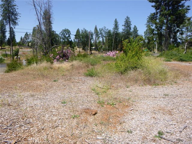 MLS #SN25133775 image #8