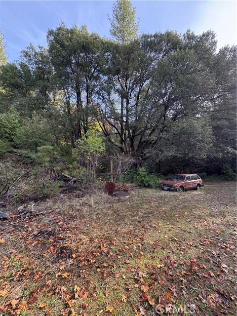 MLS #SN25135240 image #18