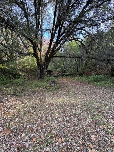 MLS #SN25135240 image #19