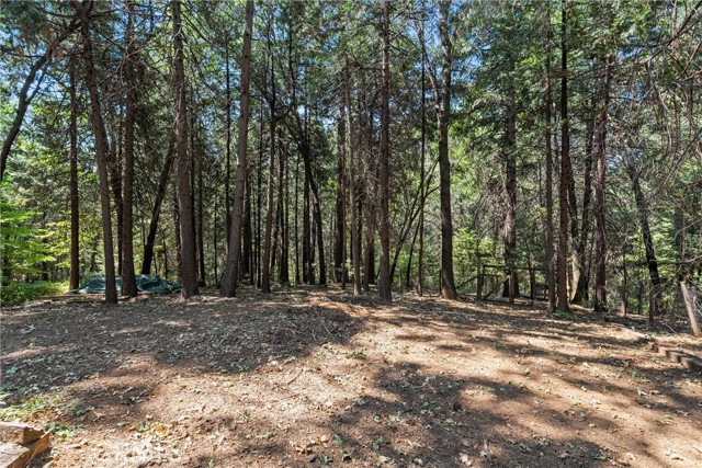 MLS #SN25135302 image #30