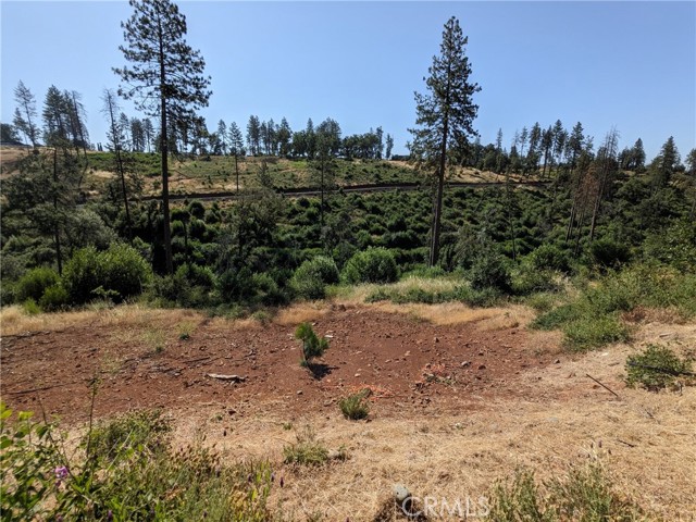 MLS #SN25135863 image #12