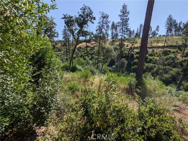 MLS #SN25135863 image #14