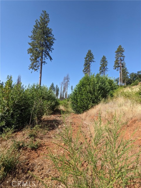 MLS #SN25135863 image #15