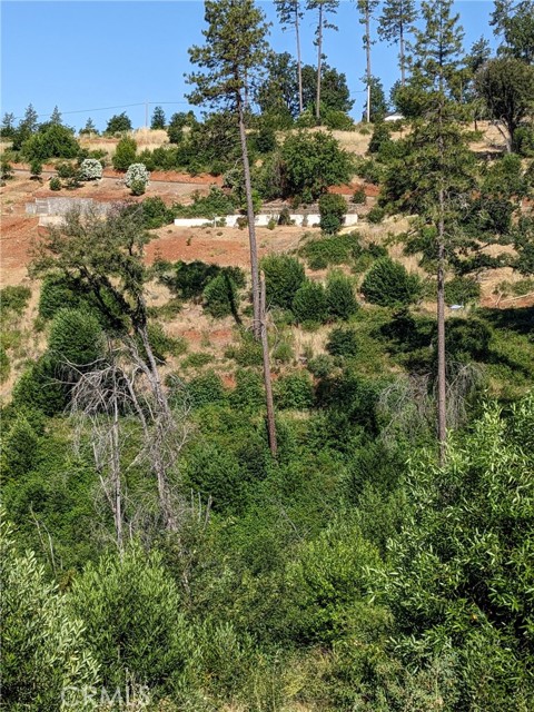 MLS #SN25135863 image #19