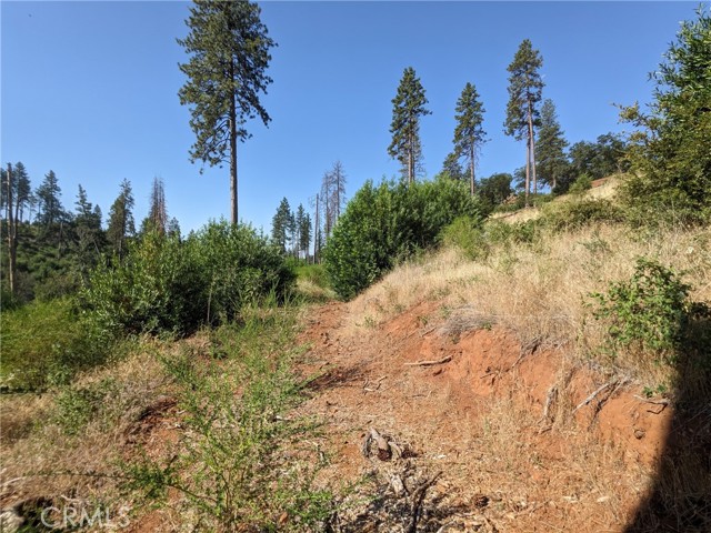 MLS #SN25135863 image #23