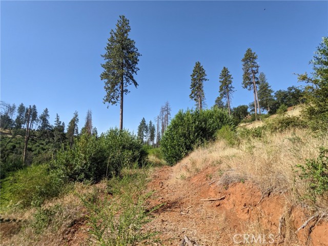 MLS #SN25135863 image #24