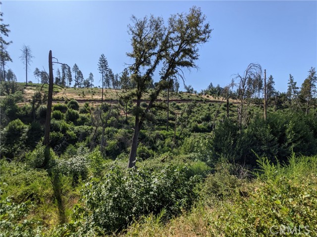 MLS #SN25135863 image #25