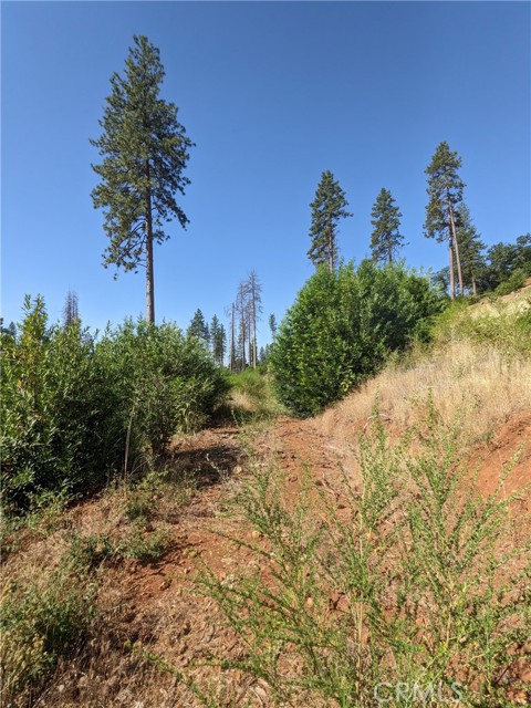 MLS #SN25135863 image #26