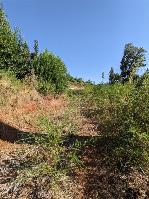 MLS #SN25135863 image #27