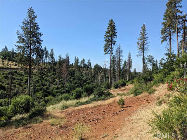 MLS #SN25135863 image #5