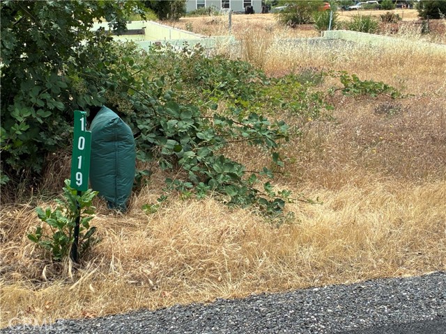 MLS #SN25135919 image #4