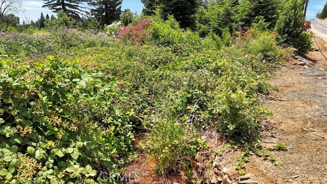 MLS #SN25136389 image #15