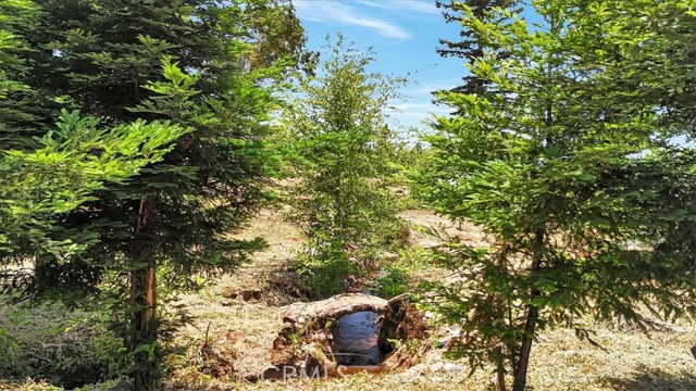 MLS #SN25136389 image #16