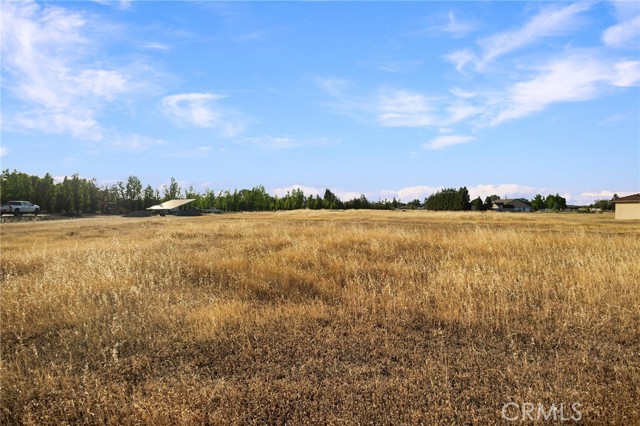 MLS #SN25136865 image #9