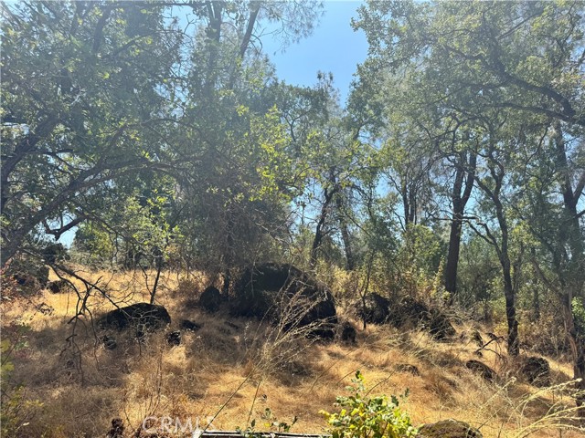 MLS #SN25141530 image #2