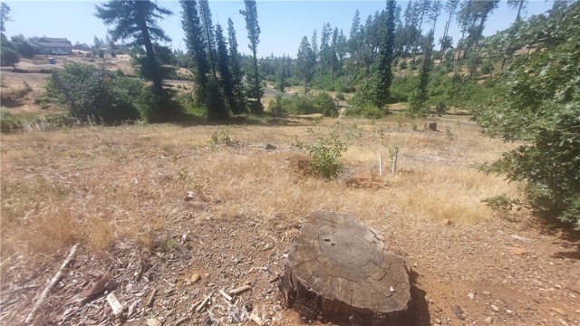 MLS #SN25142978 image #16