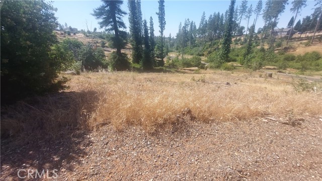 MLS #SN25142978 image #17