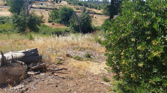 MLS #SN25142978 image #18