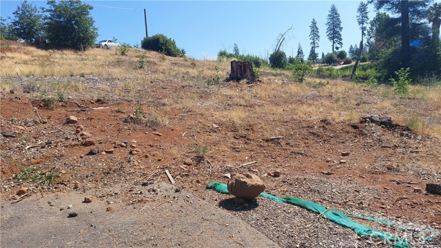 MLS #SN25142978 image #8