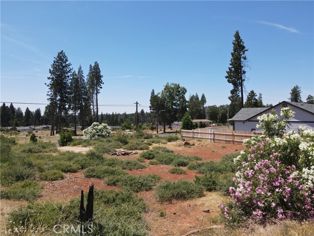 MLS #SN25143910 image #2