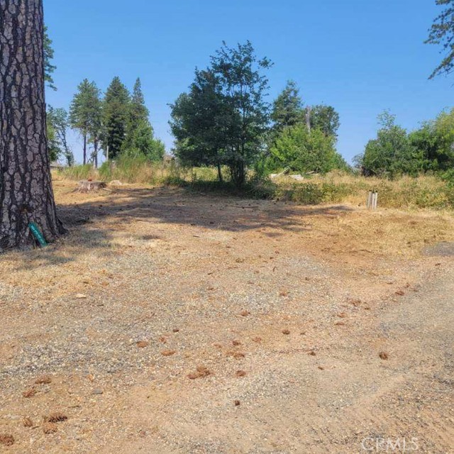 MLS #SN25145416 image #4